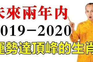 未來兩年內，這7大生肖一年比一年富貴，2020年運勢到達頂峰