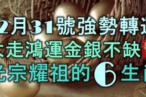 12月31號起強勢轉運，大走鴻運，金銀不缺，光宗耀祖的6大生肖！