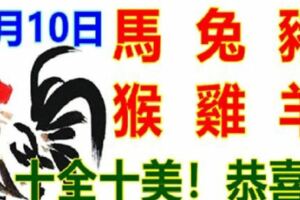 1月10日生肖運勢_馬、兔、豬大吉