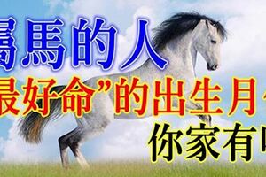 十馬九貴，屬馬的人「最好命」的出生月份，你家有嗎~