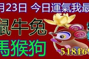 元月23日十二月十八十二屬相運氣(今日我最旺,時來運轉518169)