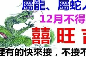 「屬龍屬蛇」人：2019年是「上上等運勢」哦！家裡有這2個生肖的快來接吧，不接不靈！