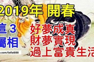 這3屬相在2019年開春好夢成真，財夢實現，過上富貴生活