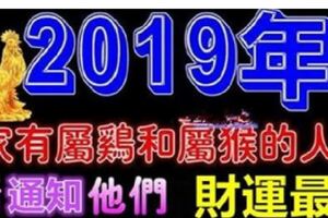 家有屬雞和屬猴的人嗎？恭喜你2019年，財運最旺