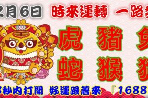 2月6日時來運轉一路發，虎豬兔蛇猴狗，88秒內打開，好運跟著來『16888』