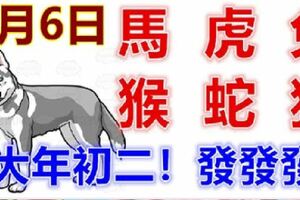 2月6日生肖運勢_馬、虎、兔大吉