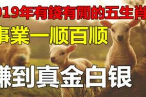 2019年有錢有閒的五生肖，事業一順百順，萬福齊開