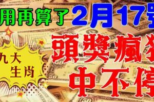 2月17號開始，九大生肖，頭獎瘋狂中不停