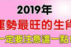 2019年運勢最旺的生肖，一定要注意這一點