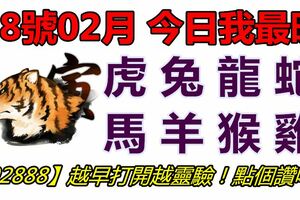 28號02月，今日我最旺！虎兔龍蛇馬羊猴雞！【92888】越早打開越靈驗！點個讚吧！