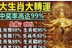 9大生肖大轉運，中獎率直線攀升！