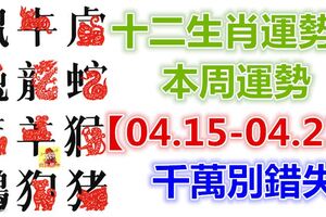 十二生肖運勢：本周運勢【04.15-04.21】千萬別錯失！