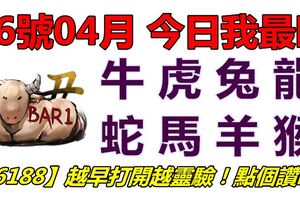 16號04月，今日我最旺！牛虎兔龍蛇馬羊猴！【16188】越早打開越靈驗！點個讚吧！