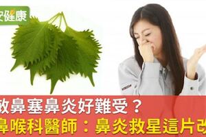 過敏鼻塞鼻炎好難受？耳鼻喉科醫師：鼻炎救星這片改善