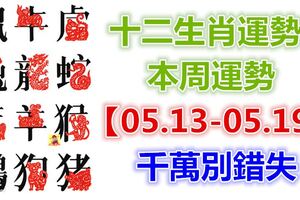 十二生肖運勢：本周運勢【05.13-05.19】千萬別錯失！