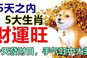 15天之內，財運旺的五大生肖