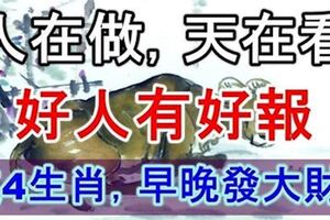 【人在做，天在看】這四大生肖之人，好人有好報，早晚發大財