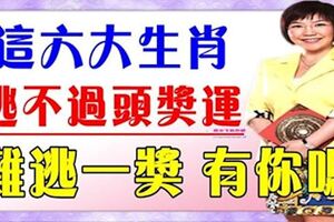 這六大大生肖，註定躲不過頭獎運，老天爺絕對不讓你窮