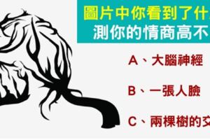 圖片中你看到了什麼？，測你的情商高不高，情商高的人一秒就能看出....