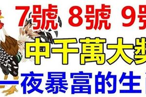 8月7號8號9號，3天內有望中一次千萬大獎，接住必一夜暴富的生肖