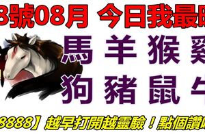 08號08月，今日我最旺！馬羊猴雞狗豬鼠牛！【88888】越早打開越靈驗！點個讚吧！