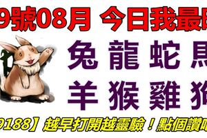 19號08月，今日我最旺！兔龍蛇馬羊猴雞狗！【99188】越早打開越靈驗！點個讚吧！