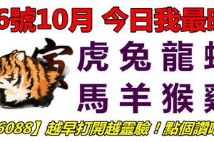 16號10月，今日我最旺！虎兔龍蛇馬羊猴雞！【16088】越早打開越靈驗！點個讚吧！