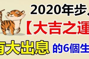 大吉之運！2020年福氣滿滿，能有大出息的6個生肖