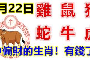 4月22日生肖運勢_雞、鼠、猴大吉