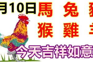 5月10日生肖運勢_馬、兔、豬大吉