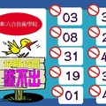 12/15  鐵不出-六合彩參考.JPG