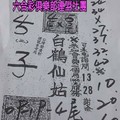 3/21  白鶴仙姑-六合彩參考.jpg