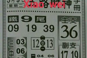 5/9  五路財神手冊-六合彩參考.jpg