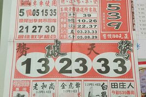 12/14-12/15  福氣539-今彩539參考