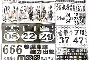 11/24  中國新聞報-六合彩參考
