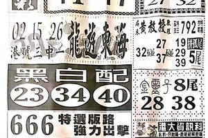 12/13  中國新聞報-六合彩參考