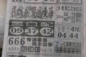 4/1  中國新聞報-六合彩參考