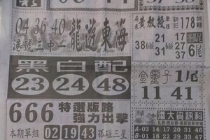 4/27  中國新聞報-六合彩參考