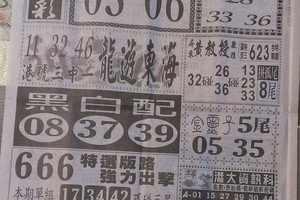 5/4  中國新聞報-六合彩參考