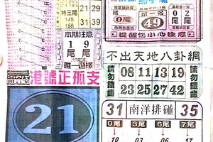 6/3  中國新聞報-六合彩參考