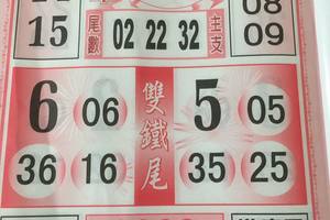 7/11-7/16  黑面天神-539參考.jpg