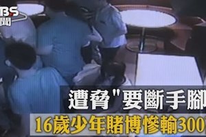 賭輸300萬　16歲少年遭逼「賣腎」還錢