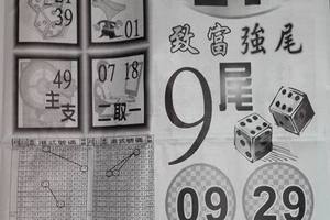 6/1  六合皇-六合彩參考.jpg