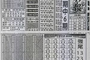 6/17  高手彩報-六合彩參考.jpg