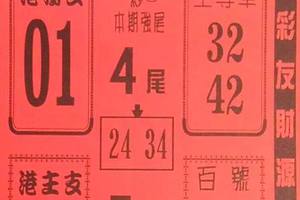 8/22  鶴仙子手冊-六合彩參考.jpg