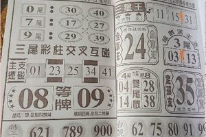 9/14  三星王-六合彩參考.jpg