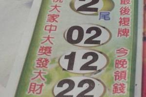 11/2  鑽石尾-六合彩參考.jpg