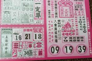 11/3-11/4  今彩一定準-今彩539參考