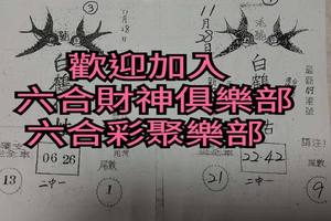 11/28  白鶴仙姑-六合彩參考.jpg