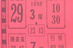 12/7  鶴仙子手冊-六合彩參考.jpg